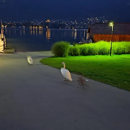 Fischinger Gæstehus Feldkirchen in Kärnten